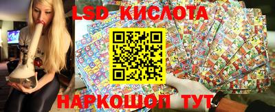 прущие крисы Камышлов