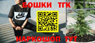 прущие крисы Камышлов