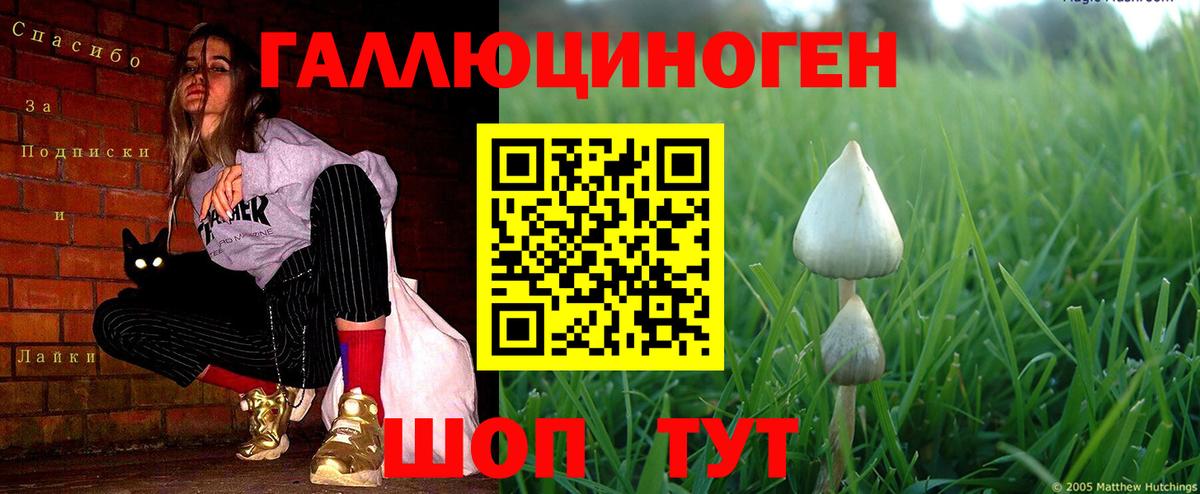 Галлюциногенные грибы Cubensis Менделеевск